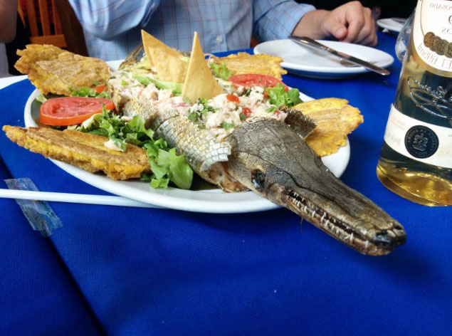 pejelagarto platillo mexicano