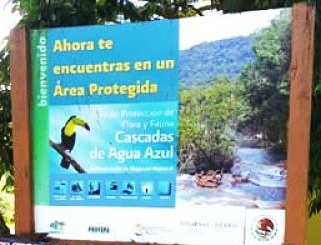 Reserva de Protección Cascada de agua azul