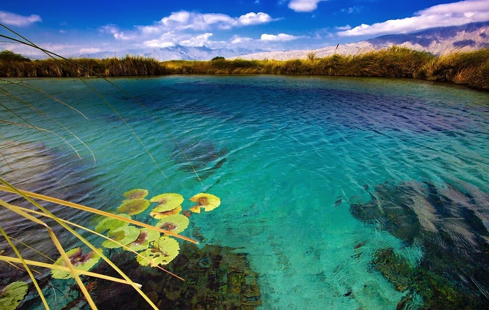 Cuatrociénegas, Coahuila.