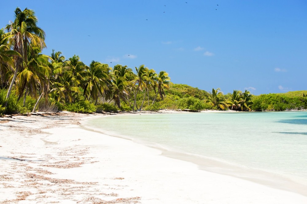 Orilla de playa en Isla Contoy