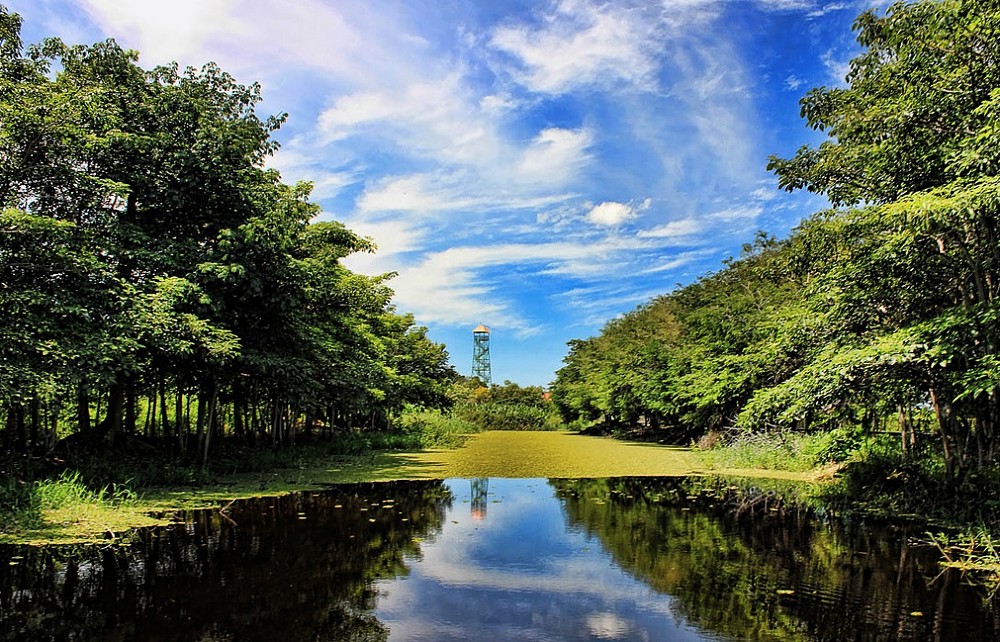 Pantanos de Centla, Tabasco.