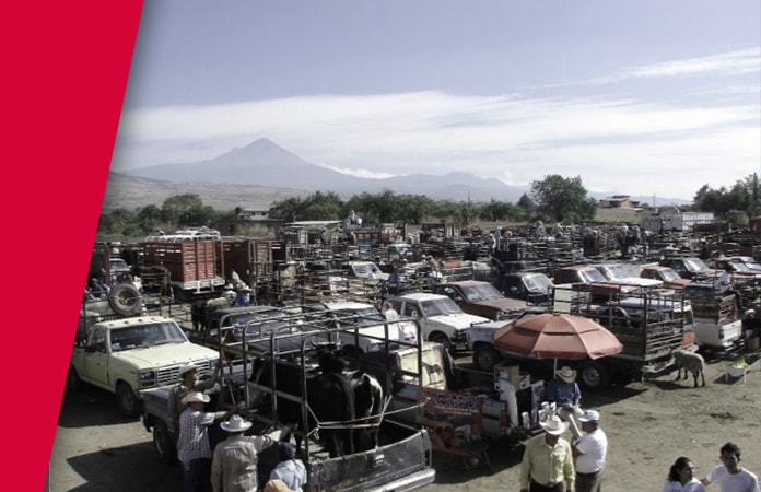 Tianguis de Animales