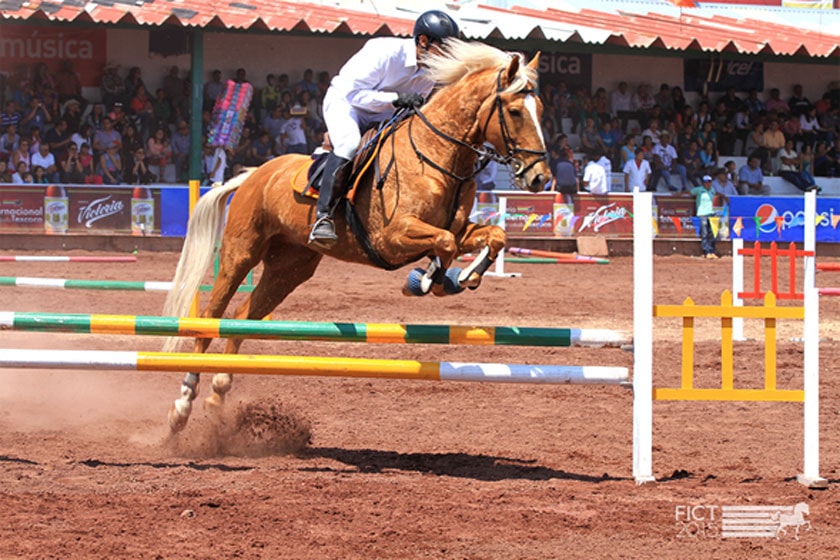 Feria Internacional Texcoco