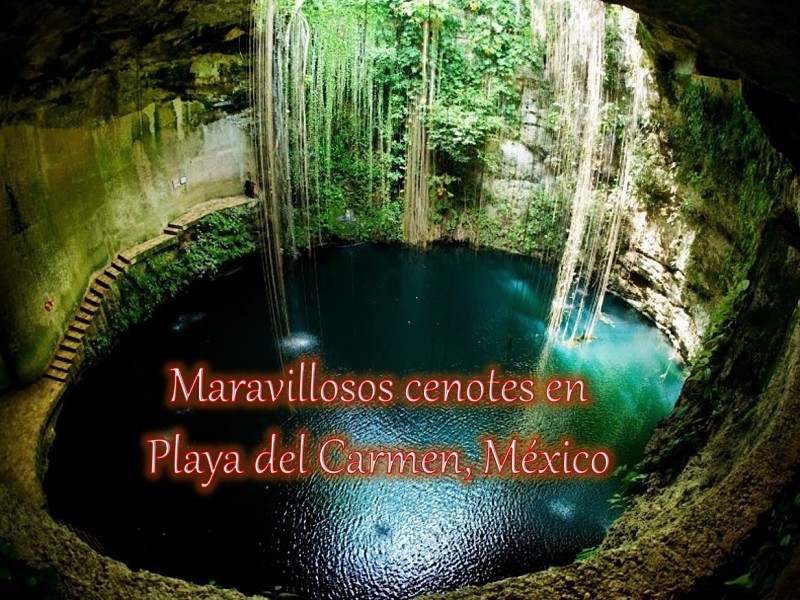 cenotes en playa del carmen, México